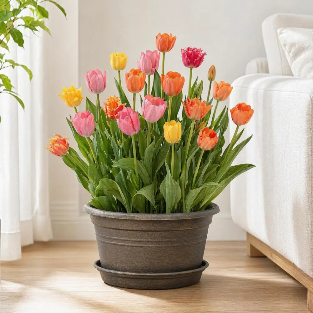 Durable Garden Pots for Tulips Bulb Plant Pot with Saucer 10 Inch Wide Flowerpot with Drainage Holes Indoor for Tulips for Bulbs