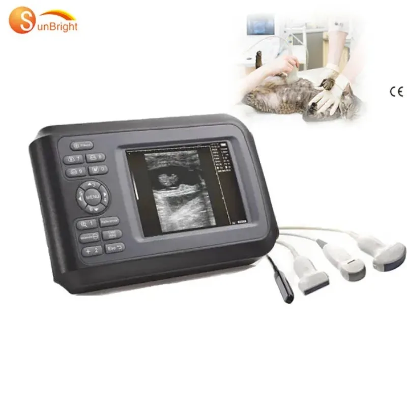 

SUN-808F Handheld Vet Ultrasonic Scan Portable Pet Ultrasound Scanner Veterinary with Convex/rectal Probe