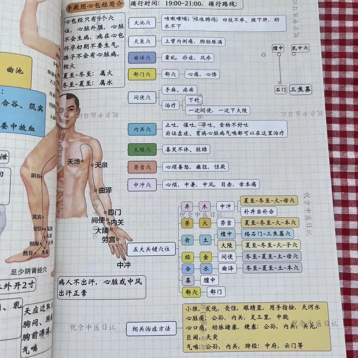 

Комплексные иллюстрированные заметки Ни Хайсю о акупунктуре: Заметки с курса преподавателя Ни.