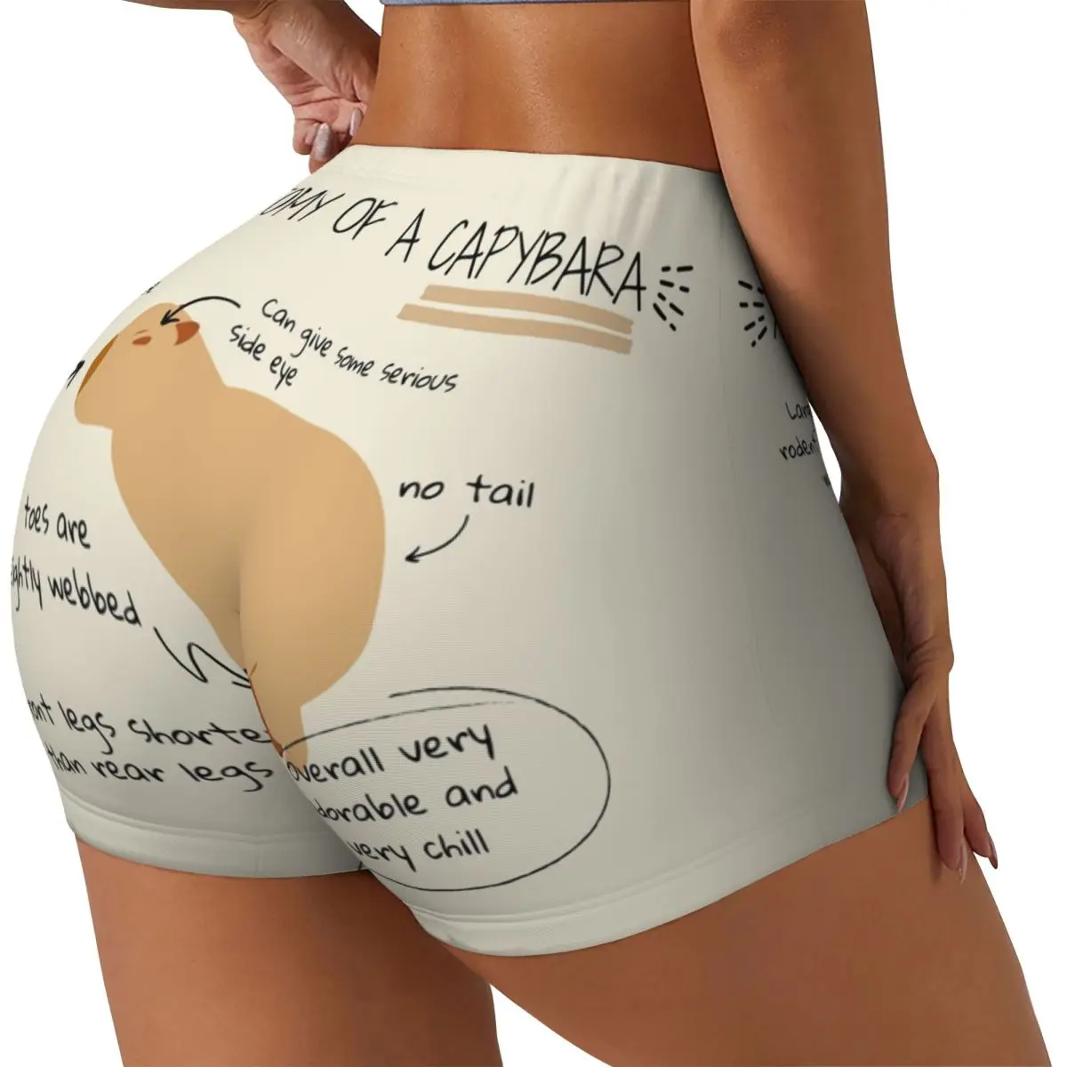 Custom Women's Anatomy Of A Capybara Workout Yoga Shorts Athletic Gym Running Volleyball Shorts