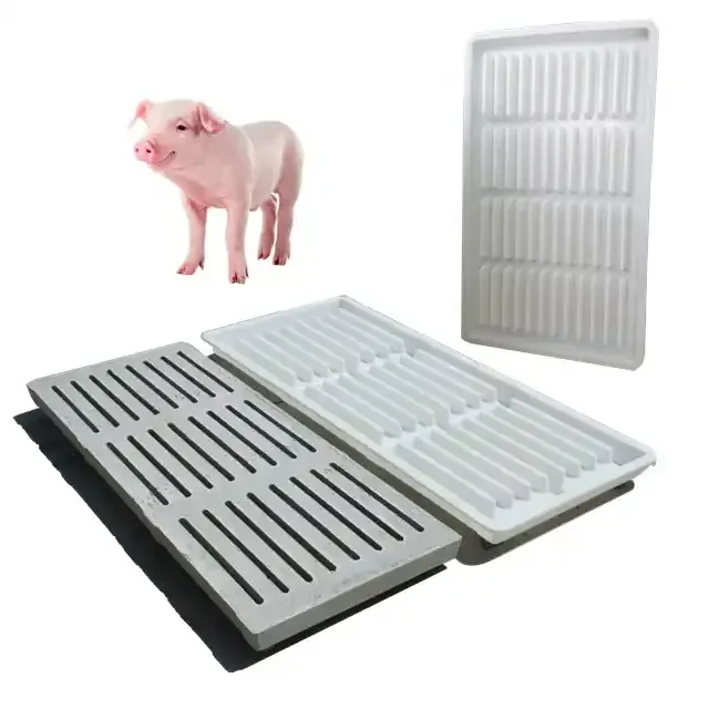 

# Hot Pig Farm Concrete Slats Floor Plastic Mould Equipment