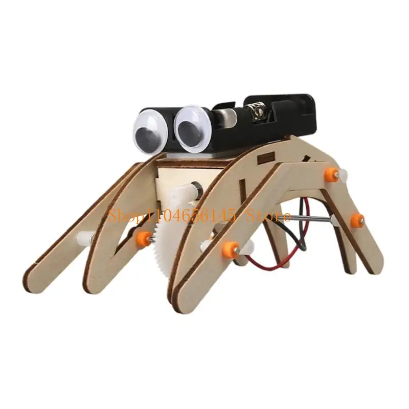 5asd Kids Educational Science Project Wooden Insect Device DIY Assembly Physics Learning Creative Experiment