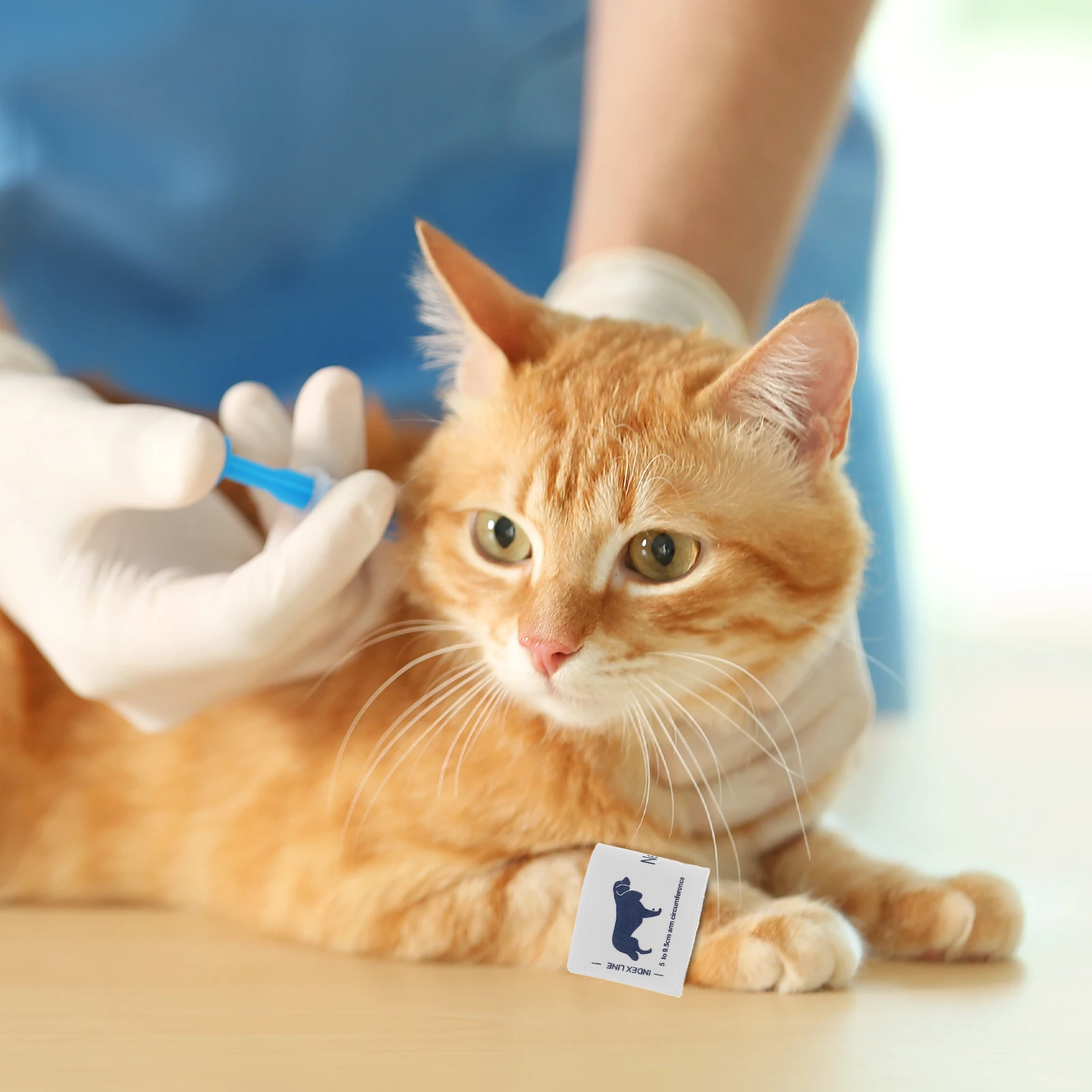 

Pet Blood Cuff Universal Animal BP Non-woven Fabric Reusable Cat Animal Cuff Vet Supplies for Cat Dog