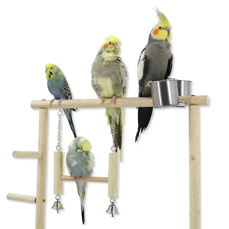 High Scale Parrot Game Rack, Bird Stand, Parrot Stand with Bird Swing Ladder, Parrot Playground Bird Toy