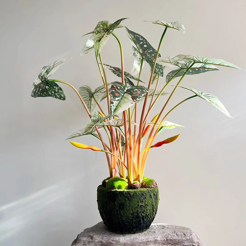 

Artificial Trees Colorful Green Plants Multi-pronged Bunches of Calathea Calathea Potted Indoor Decorative Flower Arrangements