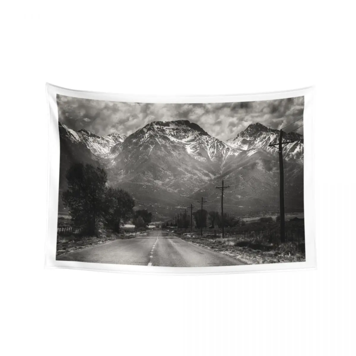 

Telegraph Road Tapestry Mushroom Bedroom Deco Aesthetic Home Decor Decoration Home Tapestry
