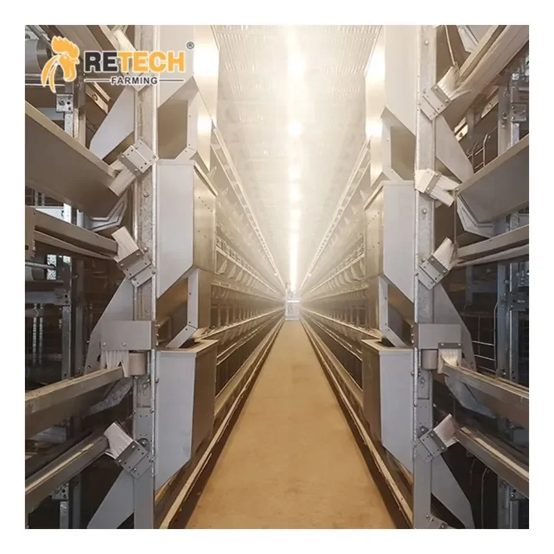 Good Design Battery Chicken Layer Cage Poultry Cage for Kenya Farm