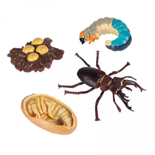 

Realistic Worm Animals Model Toys Montessori Educational Learning Tools Sensory Games for Children School Craft Play
