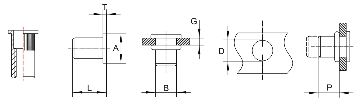 10/20 Stück Edelstahl Nietmuttern Senkkopf Flachkopf Set Muttern Einsatzmutter Gewinde M3 M4 M5 M6 M8 M10 Nietmuttern – Detail 1