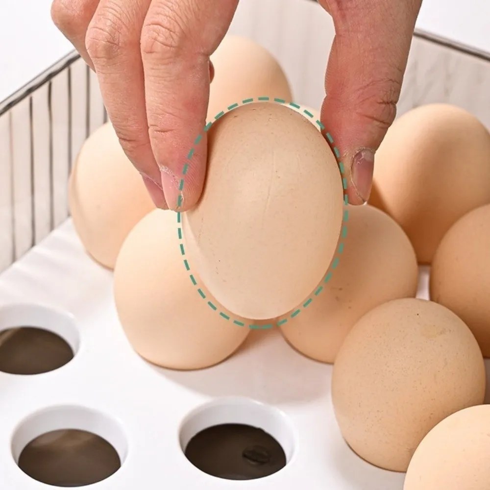 Food-Grade Refrigerator Storage Box Transparent with Lid Fridge Egg Holder Timing Fresh Plastic Kitchen Organizer Picnic