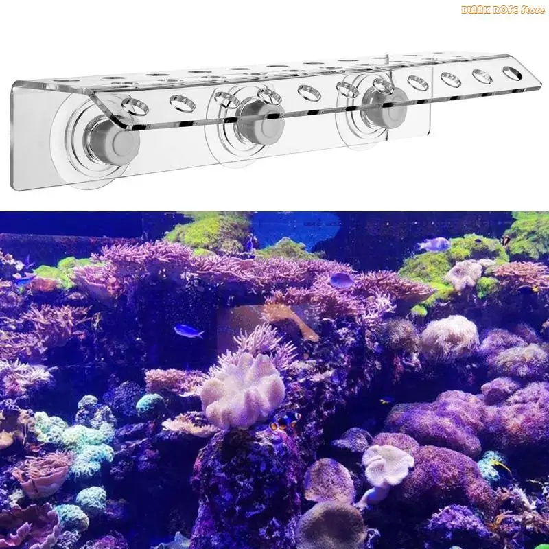 K1AE 32 Holes Coral Frag Rack Acrylic Fish for Tank Aquarium Coral Frags Holder First Row Bending Reef Frame Powerful Suction