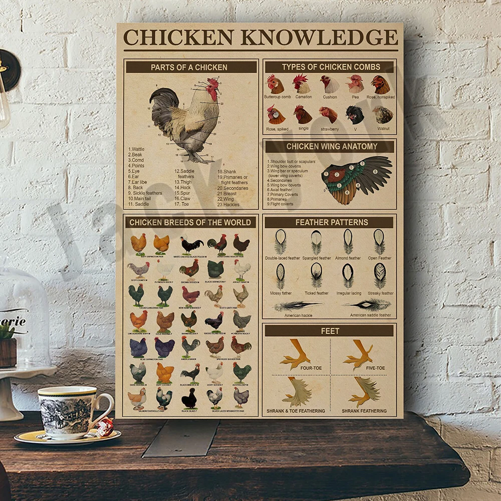 Chicken breeds, chicken knowledge print, vintage chicken animal poster, farmer gift, farm decoration