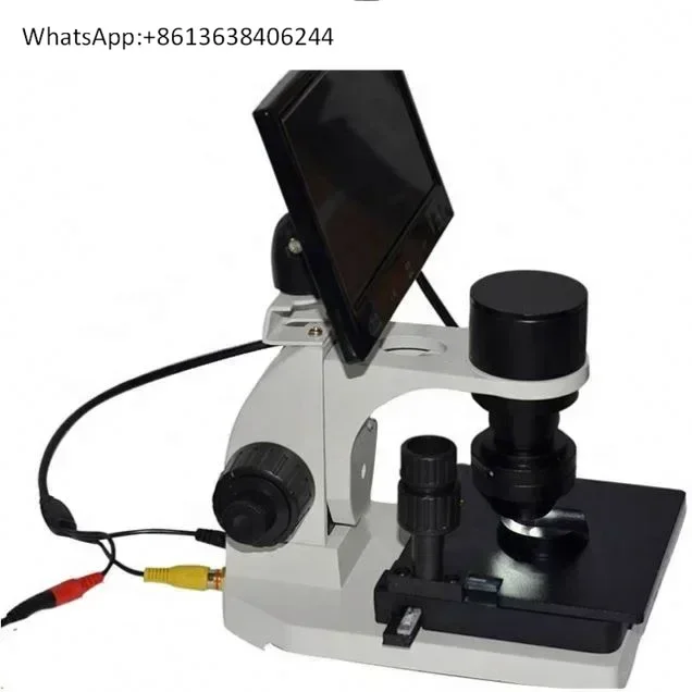 

Blood Capillary Microcirculation Microscope