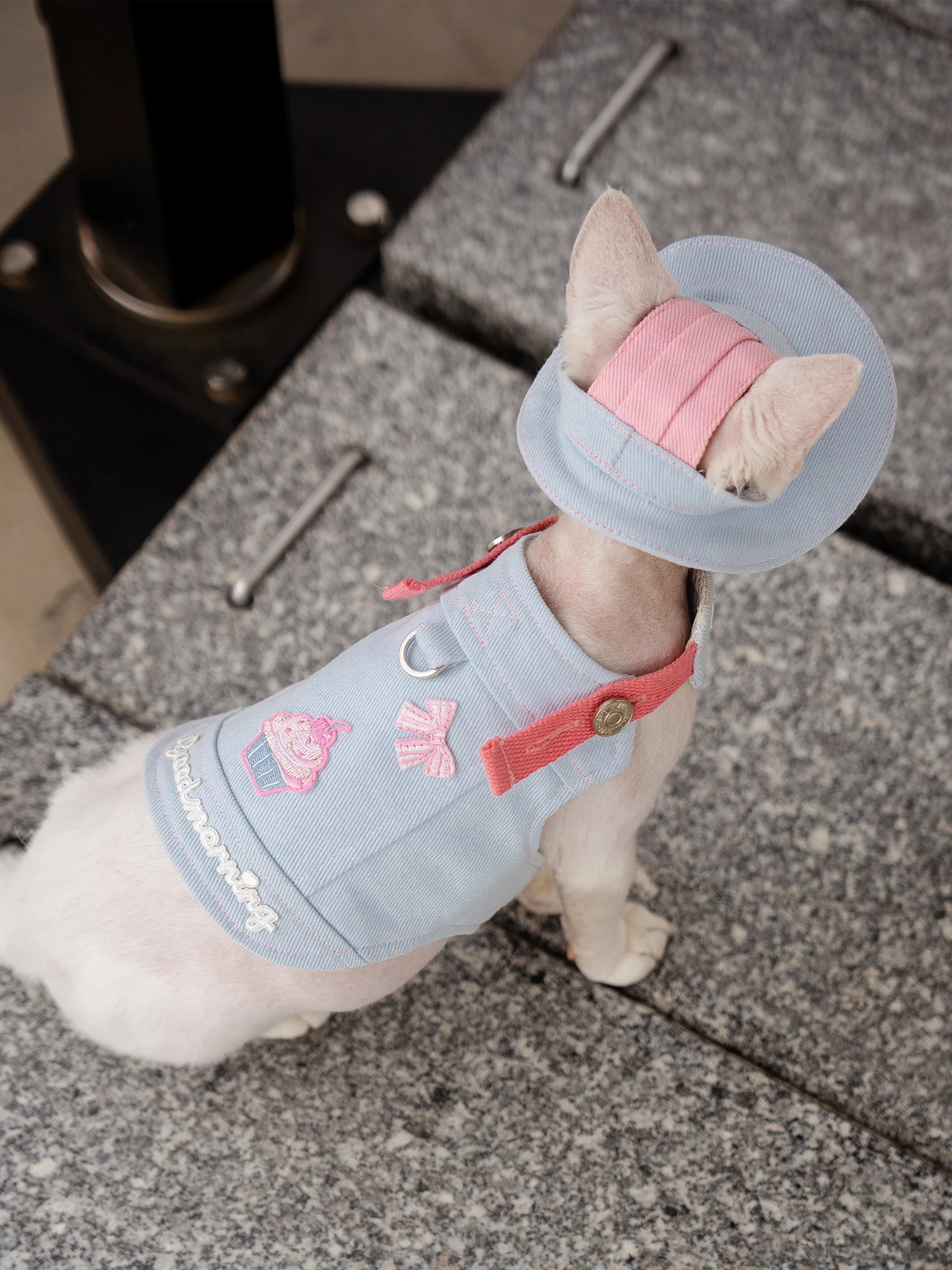 Cute Sphynx Cat Light Green Pink Harness With Leash Set Outdoor Walking Pet Harnesses Gotas mascotas Accessories katten kleding