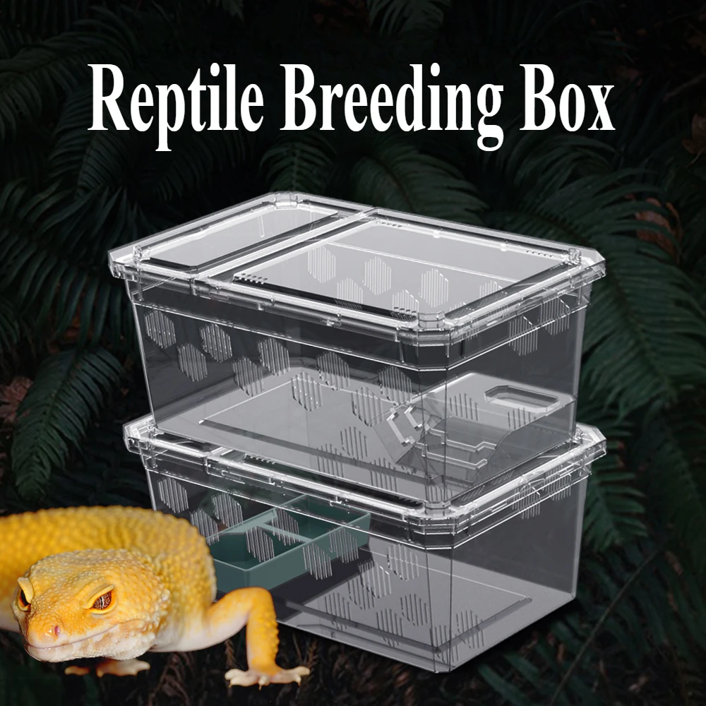 Reptile Tank Insect Spiders Tortoise Lizard Plastic Transparent Breeding Box Vivarium with Balcony Reptiles Feeding Supplies