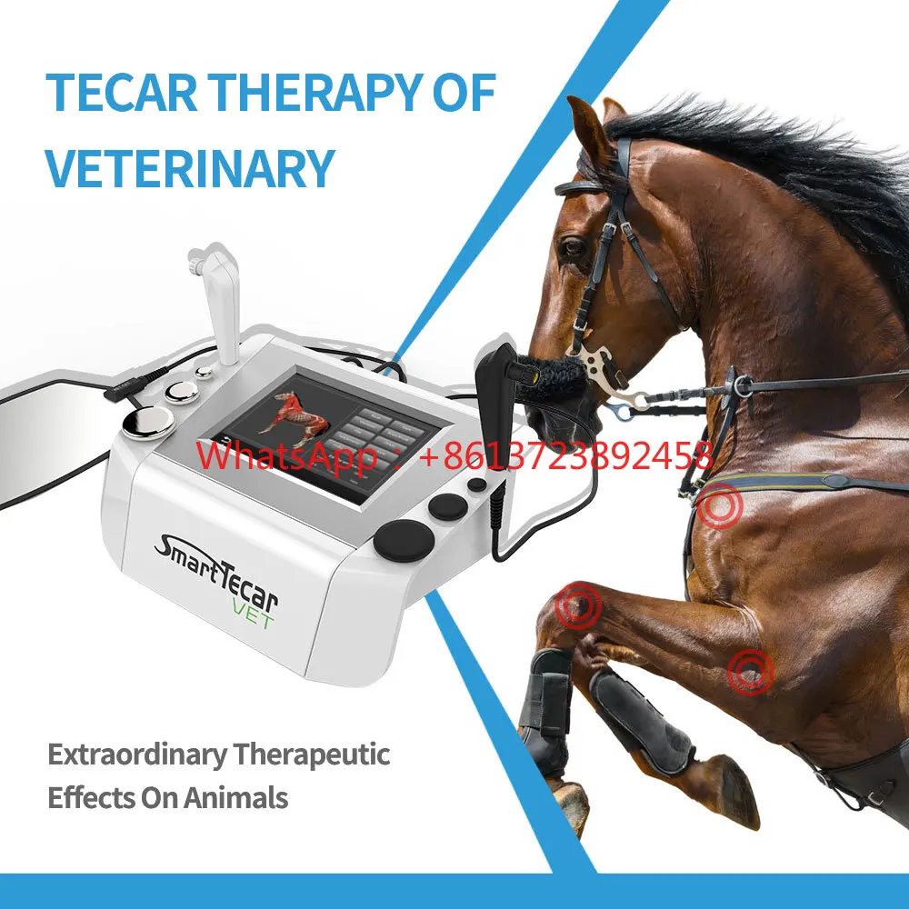 

Portable Radiofrequency Tecar RET CET Therapy Device Horse Physical Therapy Tecar Therapi Diatermi Device