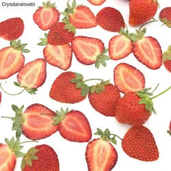 20pcs 말린 압착 미니 과일 딸기 피부 조각 쥬얼리 사진 프레임 전화 케이스 북마크 엽서 DIY에 대 한 식물 허브 플랜트