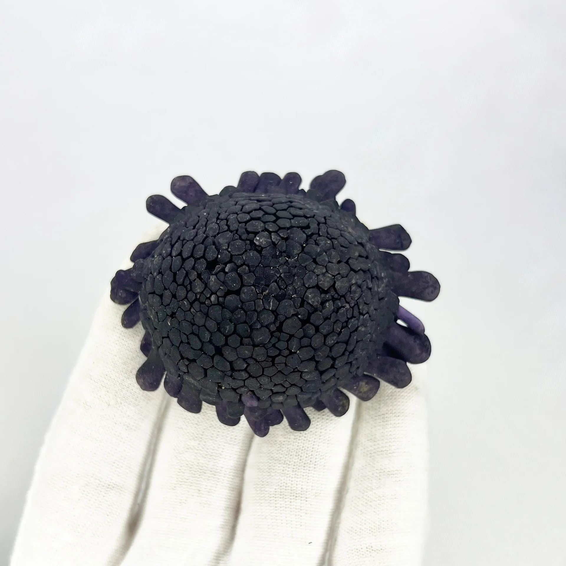 Natural Sea Urchin Shells Various Sizes Specimen DIY Craft Decor Lamp Making Material