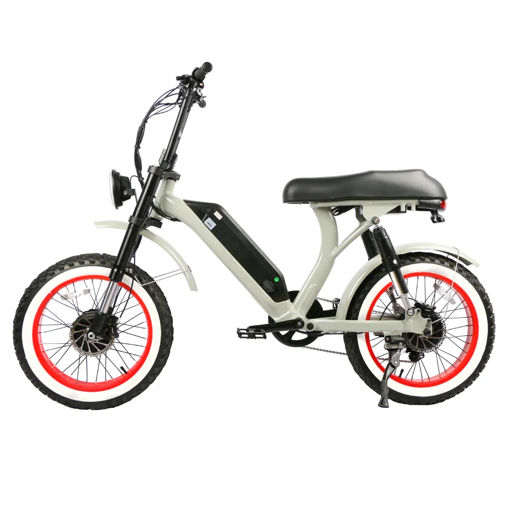 Fashion Style E Bike 750W 500W Dual Hub Motors High Powered Ebike Electric Bike 20 Inch Kenda Electric Bike for Adults