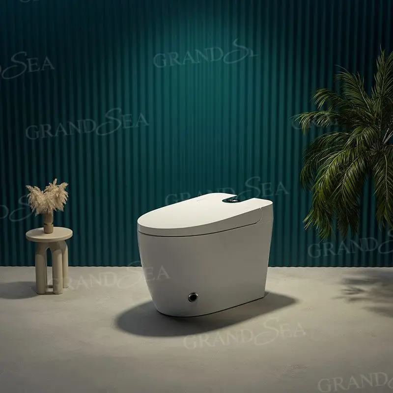 Luxury Floor Standing White Ceramic Smart Toilet Electric Bidet Smart Automatic Toilet with Remote Control