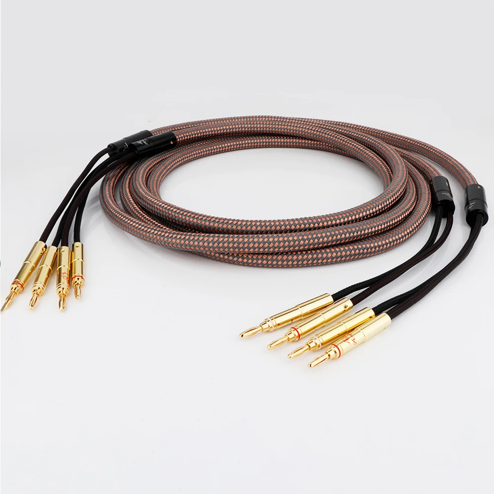 1 par de cables de altavoz HIFI Accuphase, cable de altavoz de Audio OCC de cobre puro, 2 a 2 cables de altavoz con enchufe Banana chapado en oro