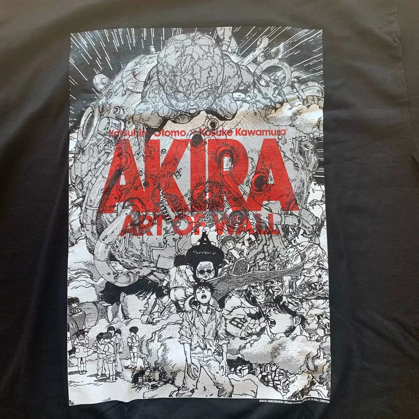 Vintage AKIRA Art of Wall Anime Graphic T-Shirt Cotton Men Women Streetwear Tee