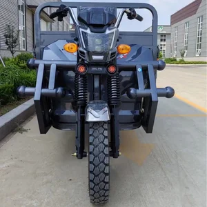 9 Haupttrikeverkäufe mit Motor - №9