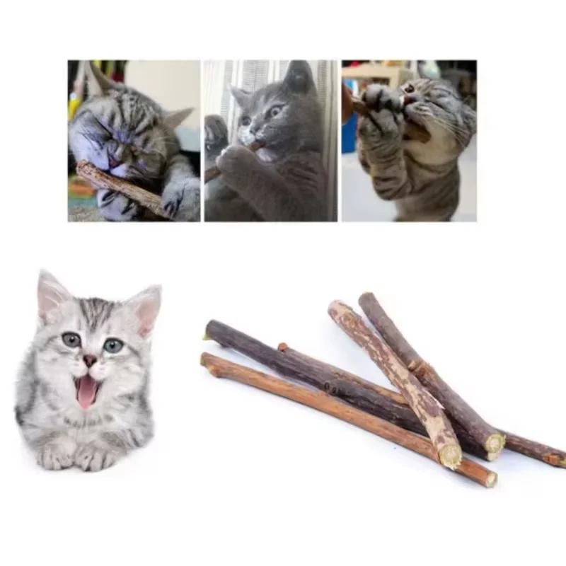 Polygonum Naturstangen für Katzen – Zahnreinigende Katzenminze-Snacks (10/15/20 Stück) – Katzenspielzeug für die Zahnreinigung – Haustierzubehör – Detail 2