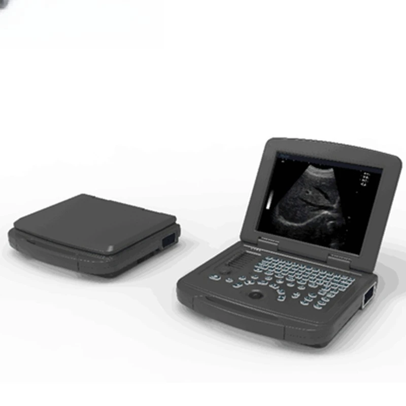 آلة الموجات فوق الصوتية الخنازير الموجات فوق الصوتية لون الحمل الموجات فوق الصوتية كشف الدهون في الحمل #1