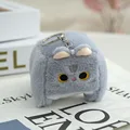 Blue Cat