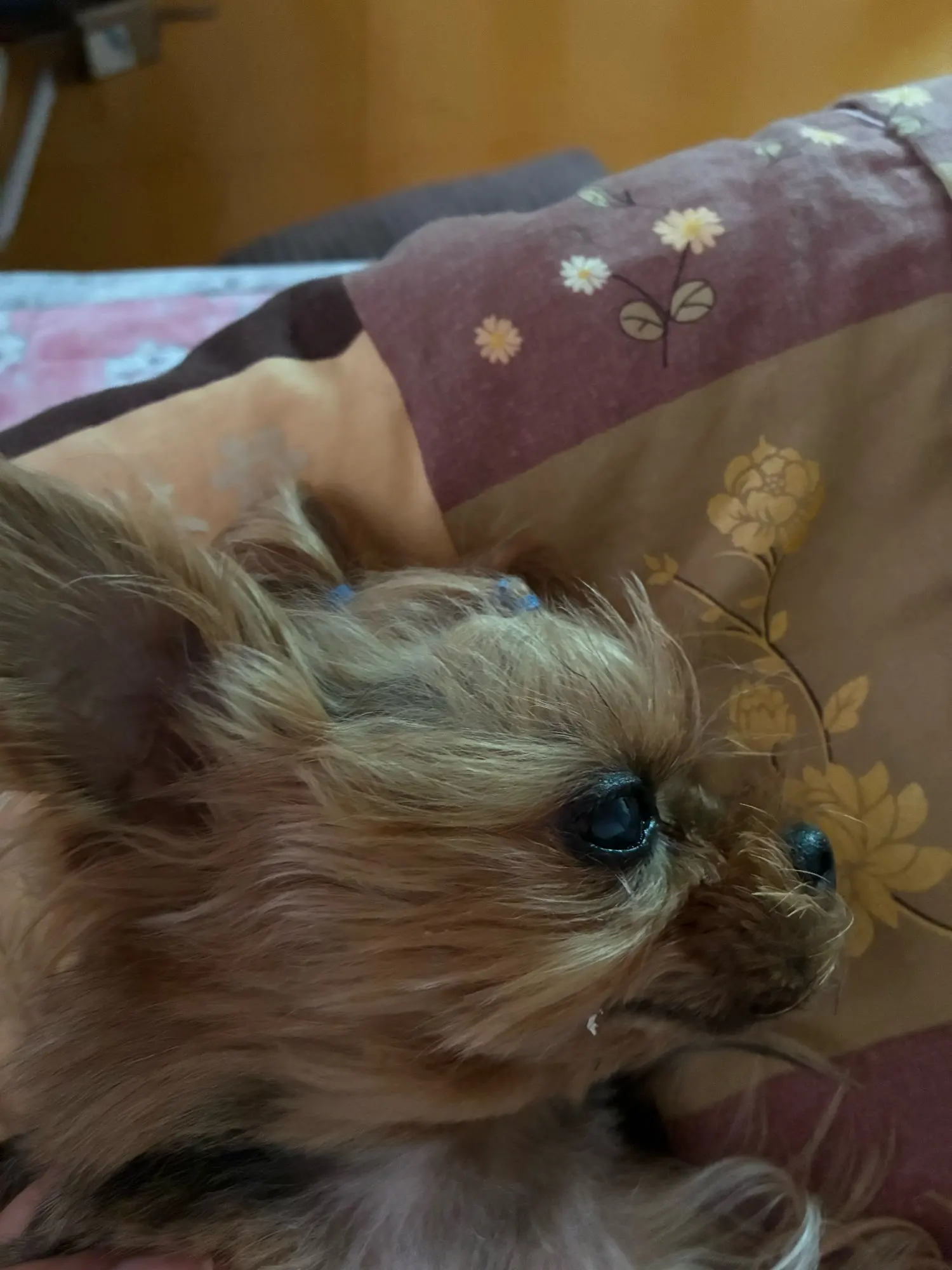 구매후기