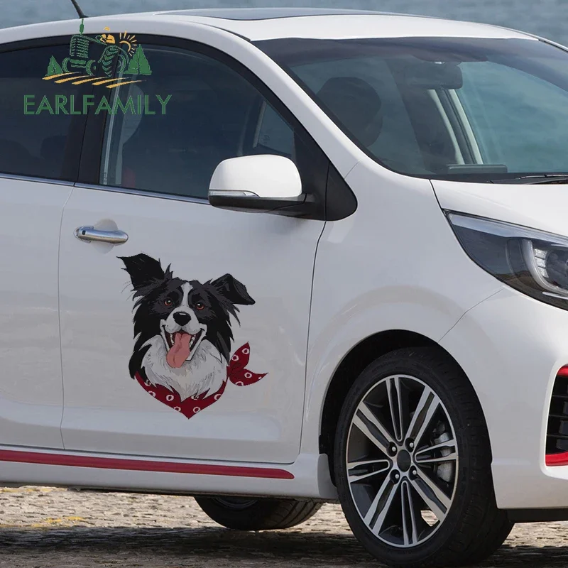

EARLFAMILY 43 см x 40,7 см для бордер-колли, автомобильные наклейки, водонепроницаемая наклейка, солнцезащитный крем, мотоцикл, индивидуальные забавные, устойчивые к царапинам