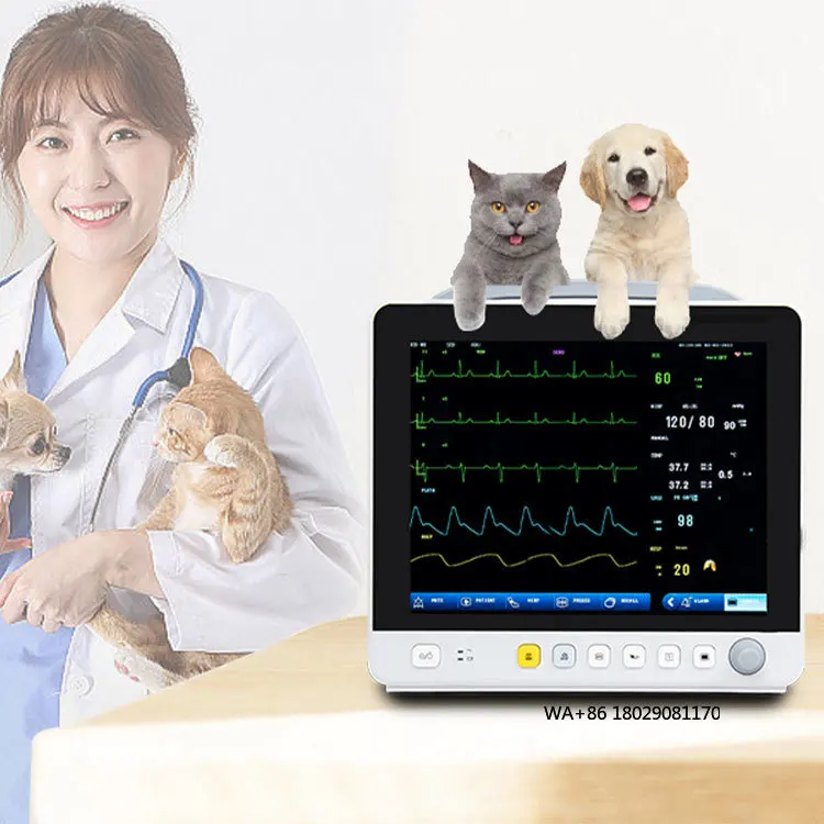

Multiparameter Monitoring Equipment Animal & Veterinary Patient Vital Sign for Dog Yonker Portable Ultrasound Machine