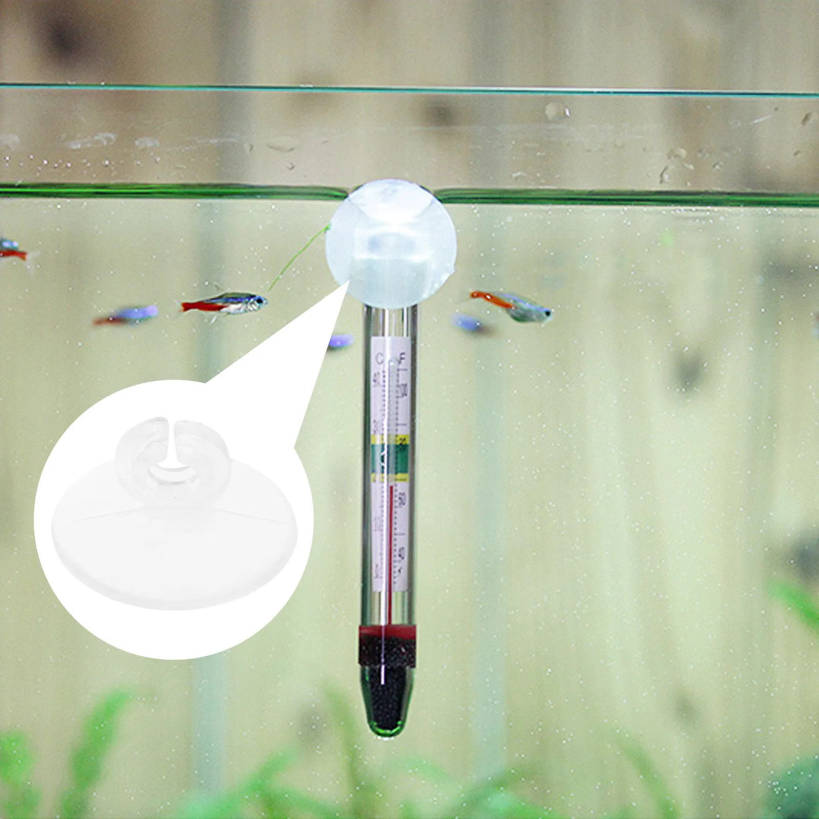 

20Pcs Fish Tank Oxygen Pump Hose Fixators High Quality Suction Cups Easy Install Aquarium Oxygen Hose Fixing Fixing Suction Cup