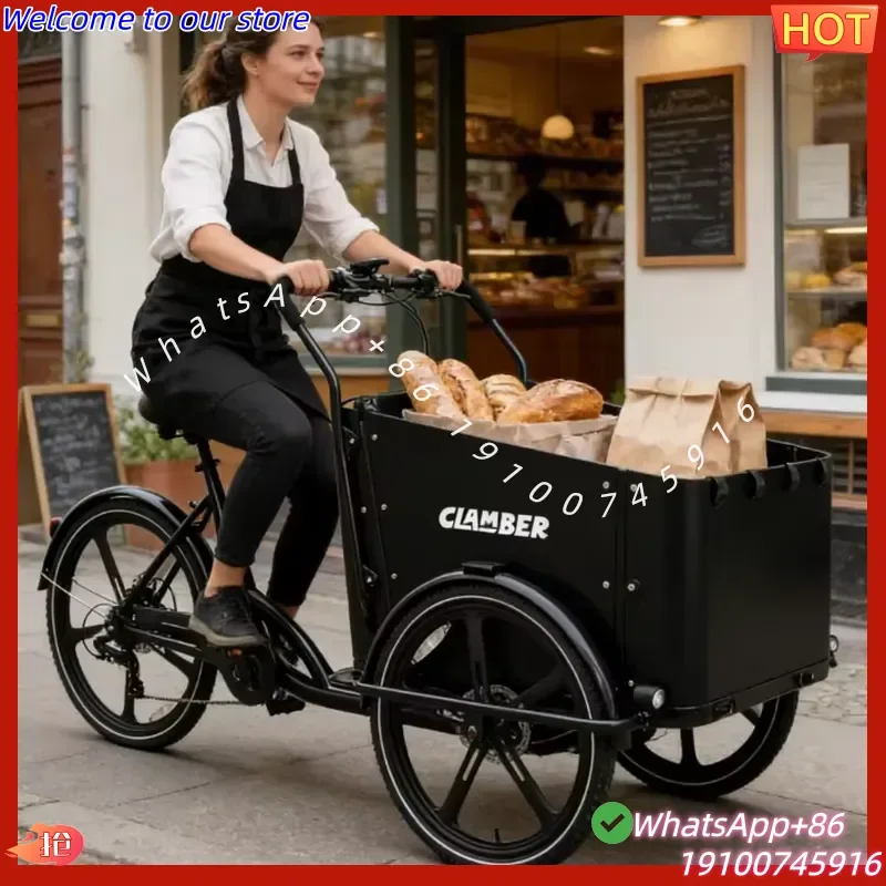 2026Hot Factory Price 8-Speeds Electric Cargo Bike 250W 3-Wheel Cargo Bike with 36V Battery Europe Stock 6