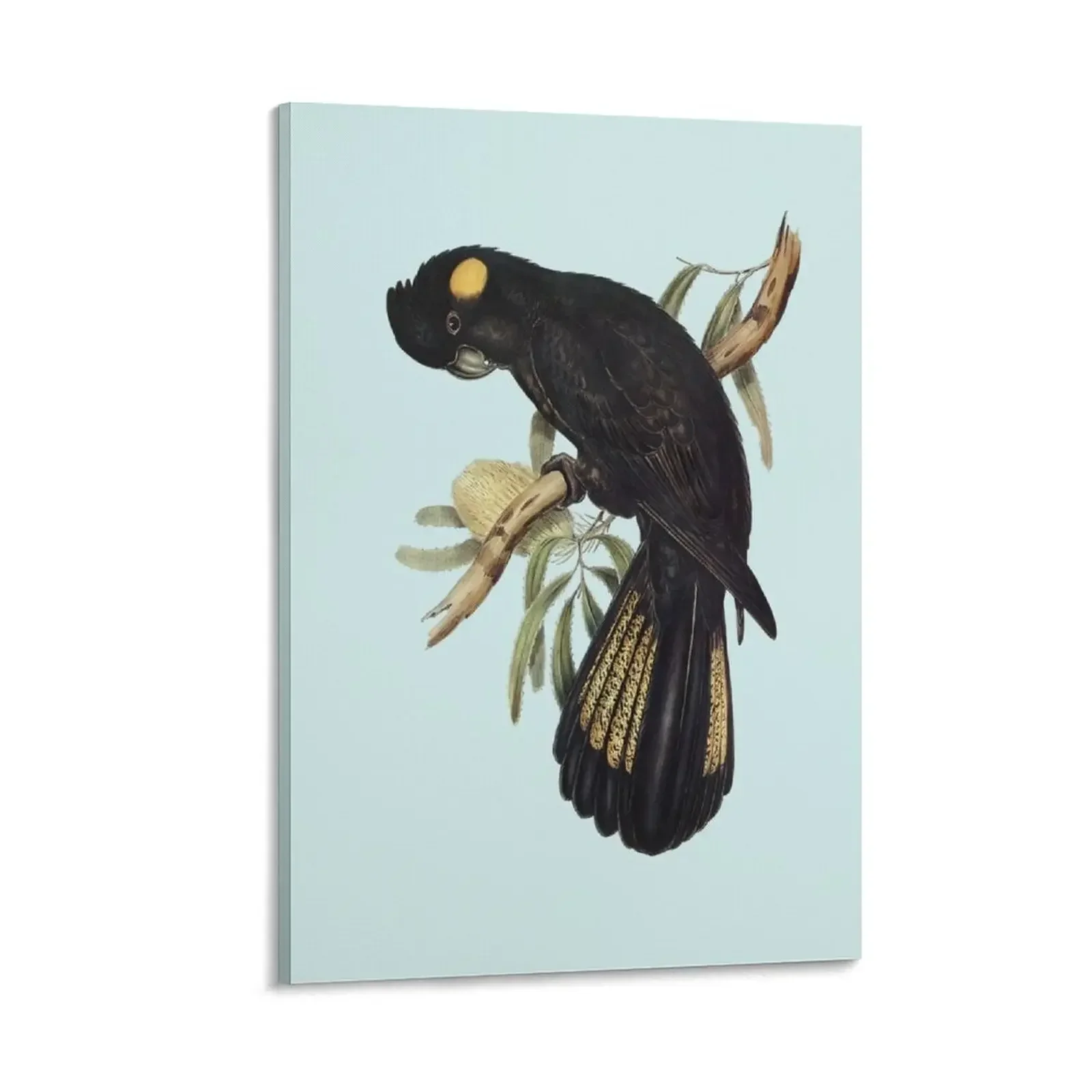 

Yellow-tailed Black Cockatoo (Calyptorhynchus funereus) Canvas Painting art mural decorative pictures for living room