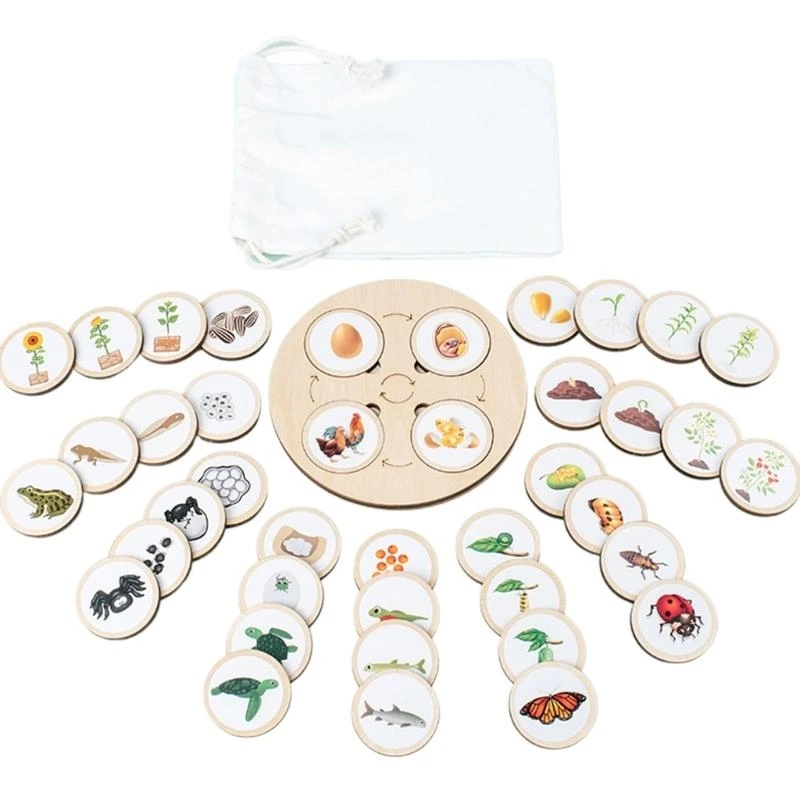 Q0KB Kids Learning Plants Animals Figure Life Cycle Sorting Toy Biology Life Growth