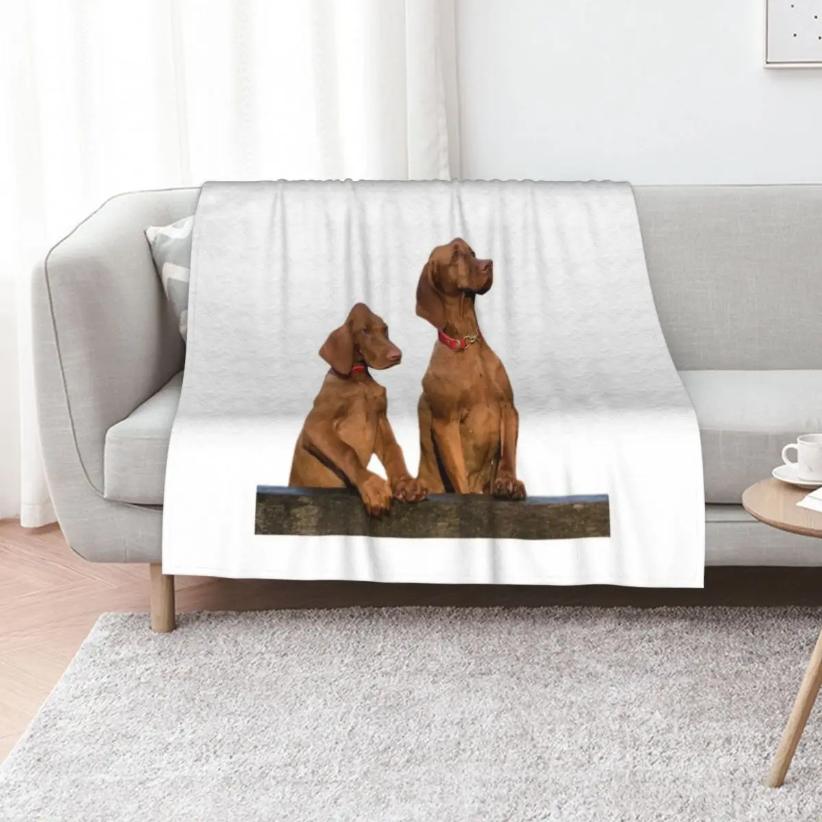 Manta Viszla Dogs, Manta Suave y Afelpada de Lujo para Sofá Cama