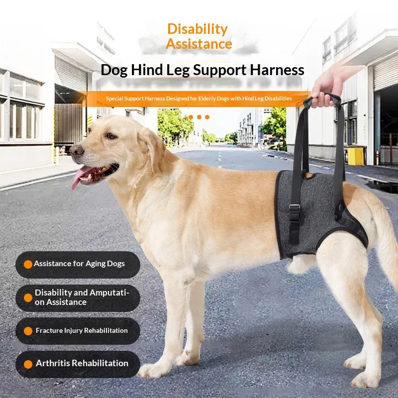 2nd Gen Dog Support Sling - Non-Slip Waist Wrap for Even Weight Distribution, Rehabilitation & Travel Aid Belt (CE Certified)​