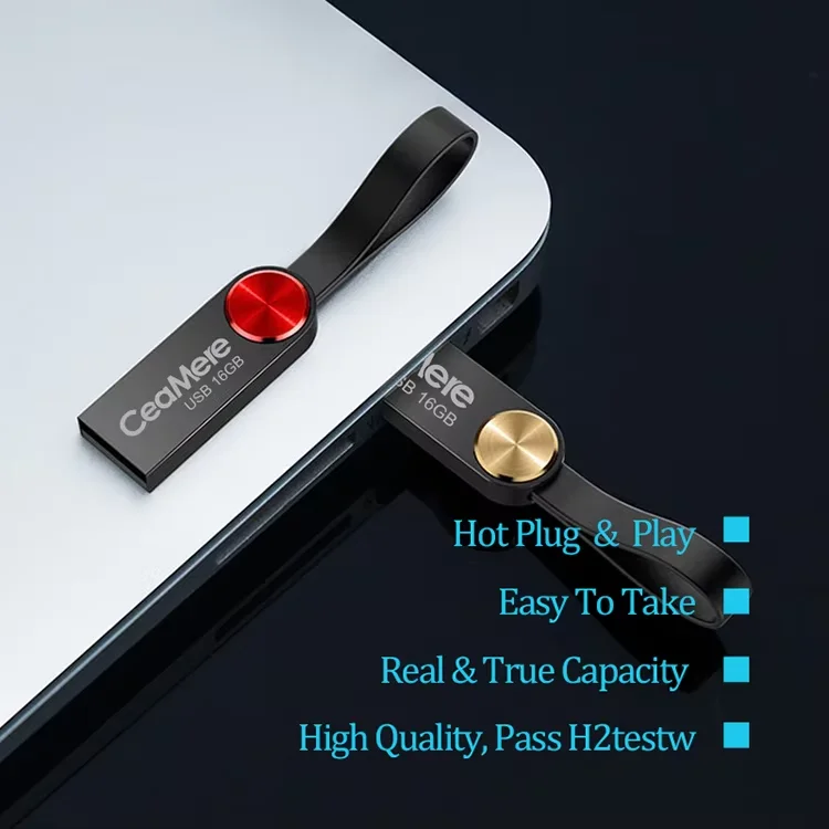 10 Stück 2.0/3.0 Hochgeschwindigkeits-USB-Stick mit Individuellem Logo 4GB 8GB 16GB 32GB 64GB 128GB Metall-USB-Stick mit Schlüsselanhänger als Geschenk – Detail 15