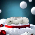 silver plus fur warm