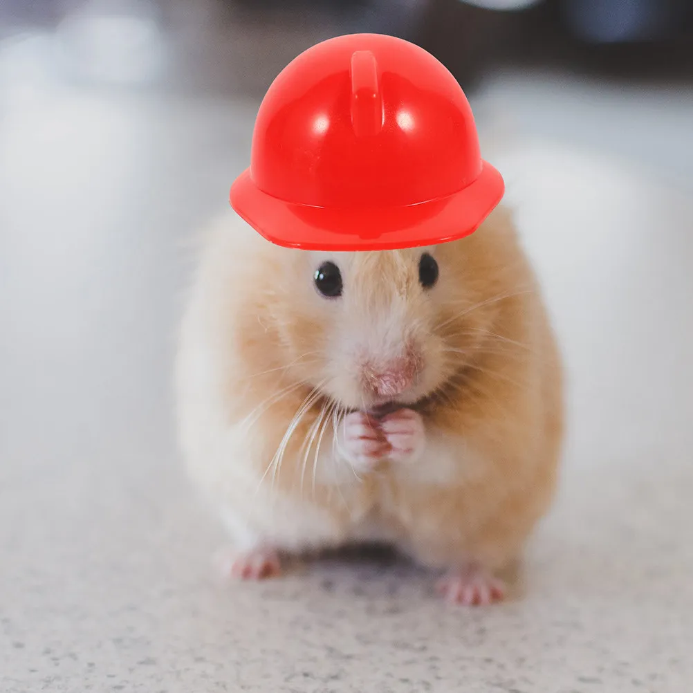 

30Pcs Mini Safety Plastic Durable Decorative Cap for Pets Chicken Cake Topper Party Supplies DIY Accessories