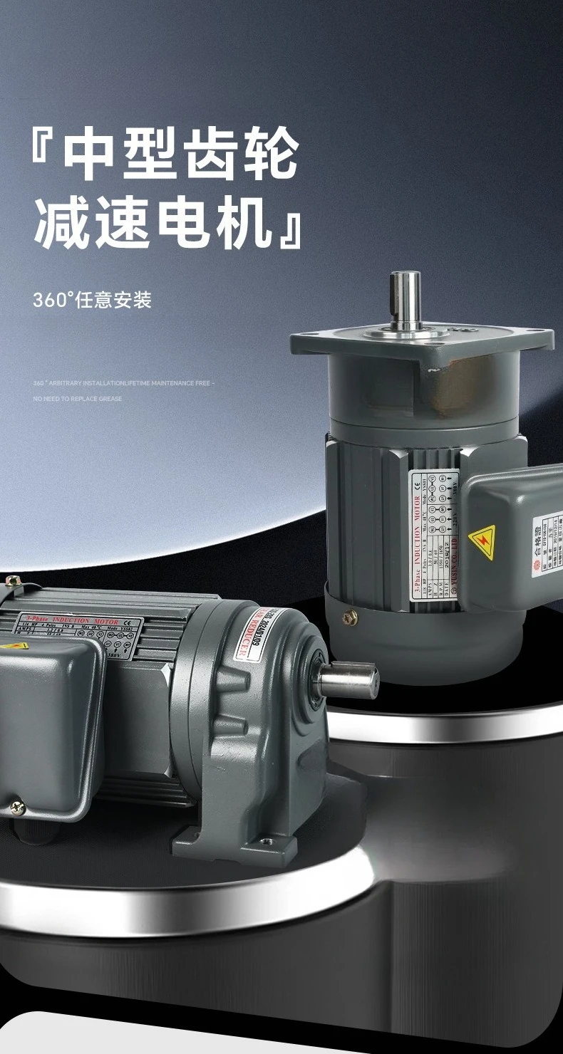 Getriebemotor 100W200W400W horizontaler vertikaler Motor mit variabler Frequenz