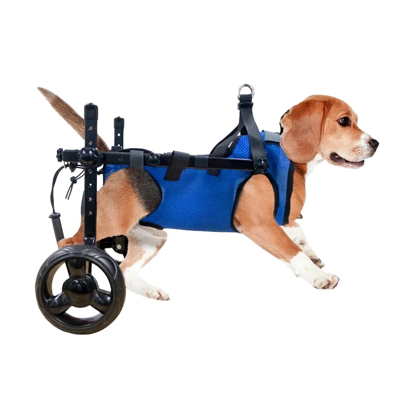 

Adjustable 2-Wheel Pet Dog Wheelchair for Handicapped or Mobility-Impacted Animals Training Behavior Product