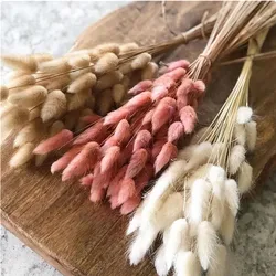 Fluffy Dry Pampas Natural Flower Decoration,Dry Bunny Rabbit Tail Grass for Boho Wedding Floral Arrangements Room Home DIY Decor