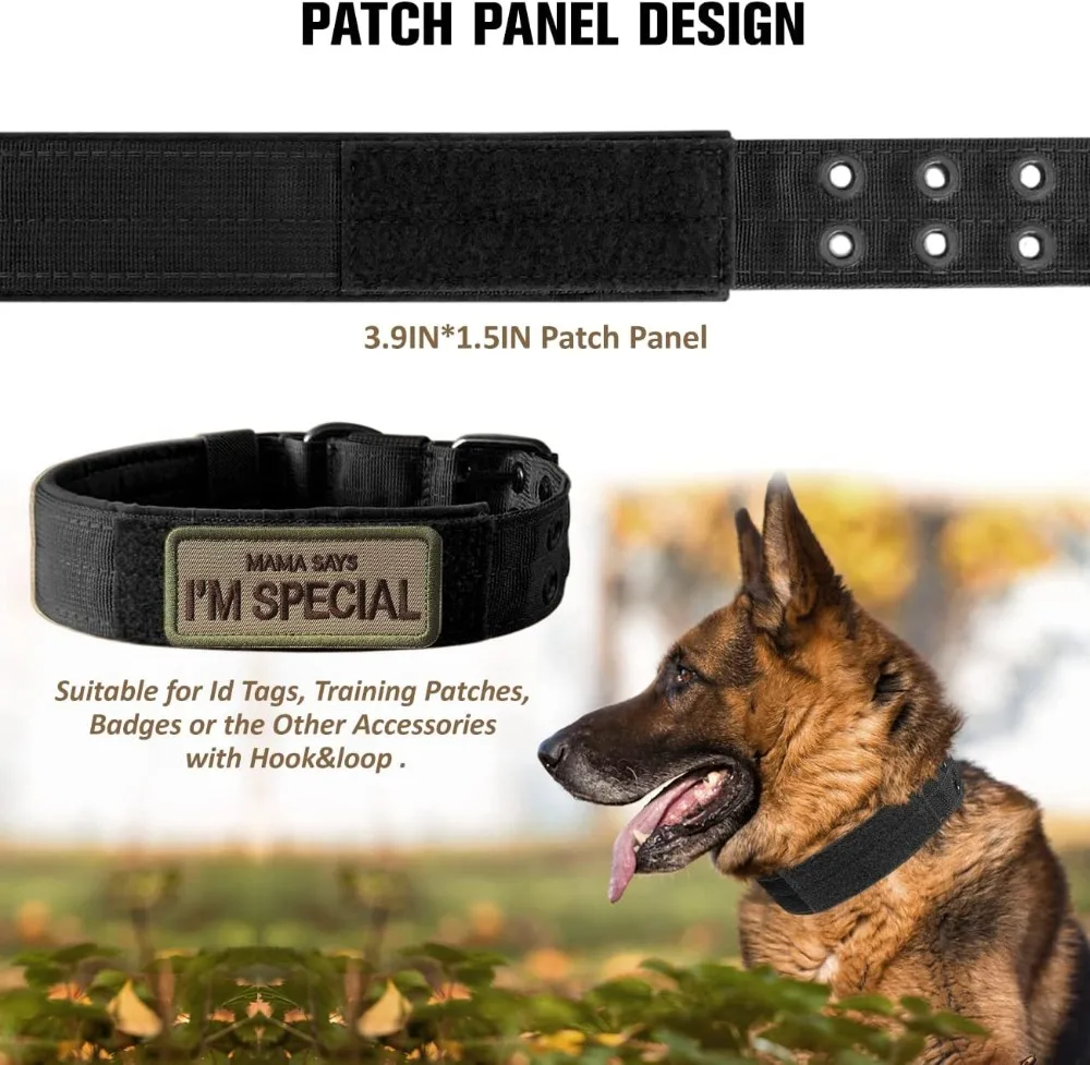 Thumbnail 3 - #6 Dog Collars Comparison Guide