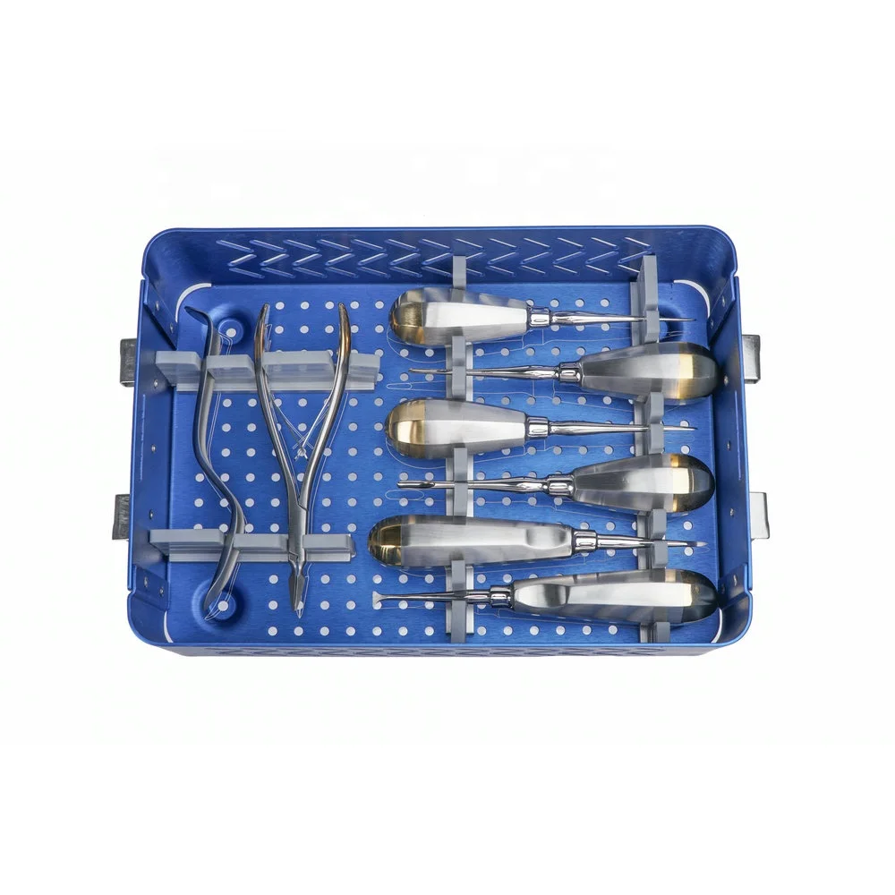 Prezzo competitivo Kit di strumenti dentali Attrezzatura chirurgica veterinaria Strumenti chirurgici ortopedici per uso veterinario