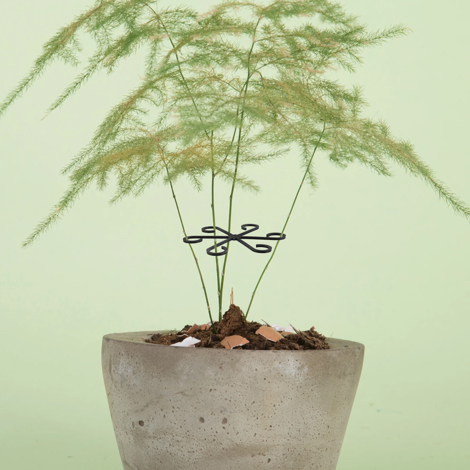 

8 Pcs Plant Support Frame Garden Stem Organizer Bonsai Holder Flower Stems Holders Climbing Stand Monstera