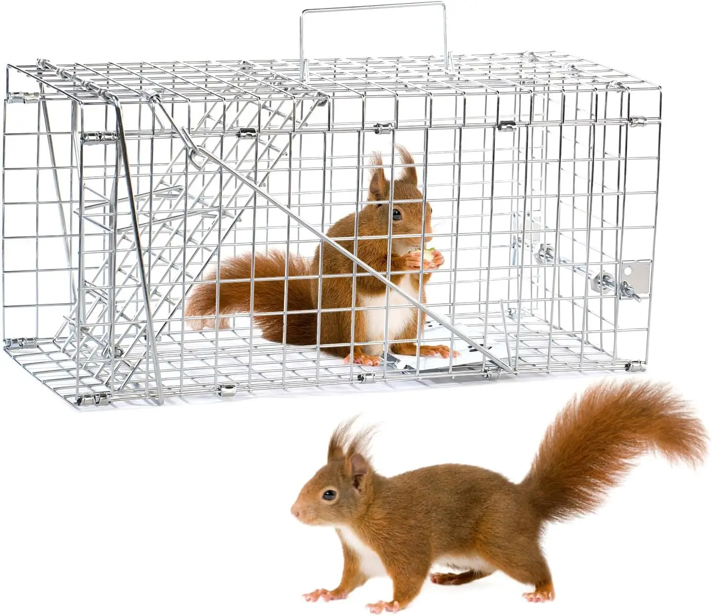 

17" Humane Squirrel Trap, Folding Live Catch & Release Trap for Small Animals