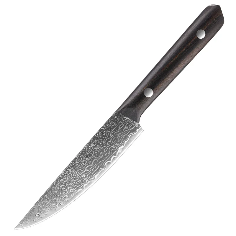 NONE Schälmesser 5,5 Zoll Damaskus VG-10 Stahlkern, ultrascharfes Damaskus-Allzweckmesser Steakmesser, Full Tang Pro Schälmesser 3